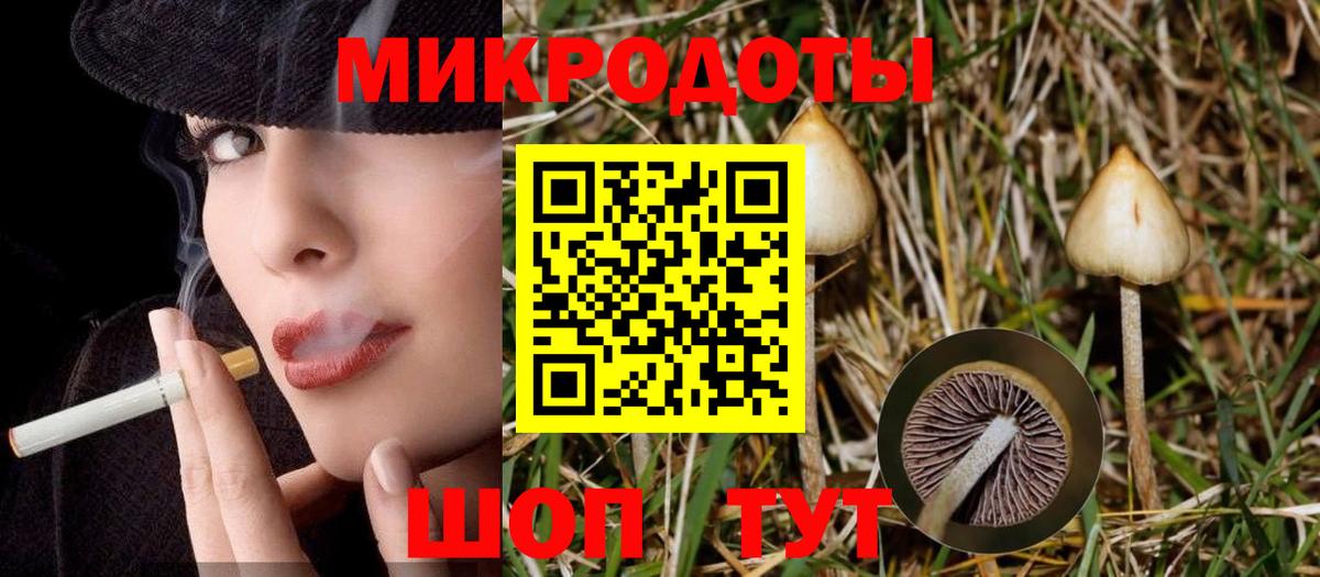 Туапсе  Псилоцибиновые грибы мицелий  Вход с VPN 