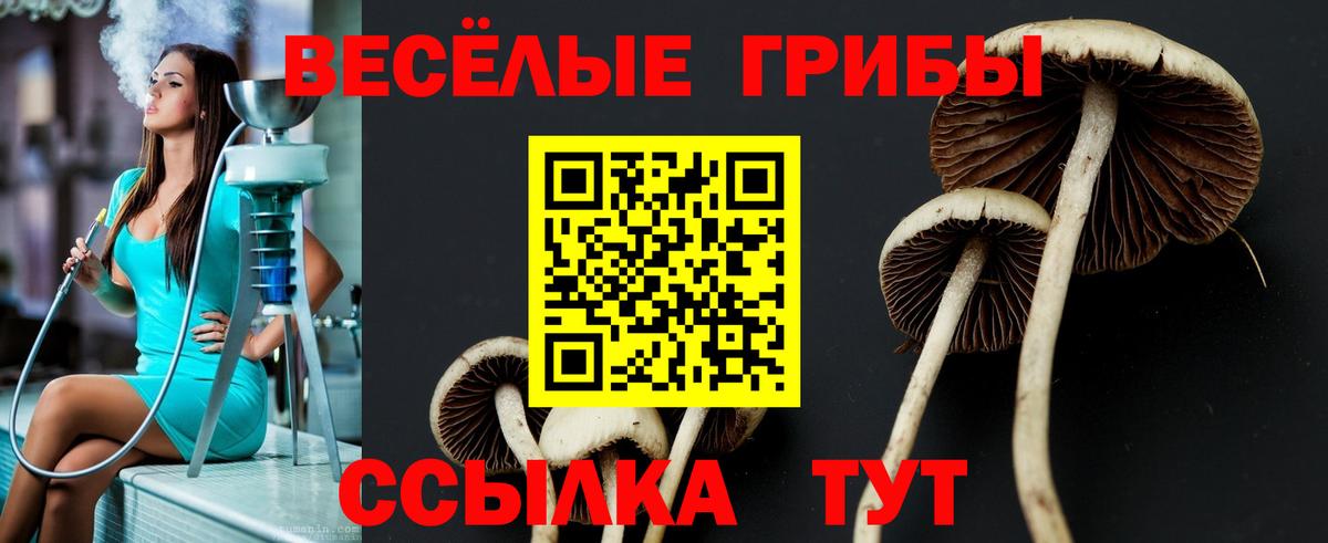 Галлюциногенные грибы ЛСД Туапсе